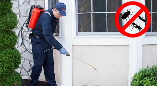Güneysınır Dezenfeksiyon böcek ilaçlama ve haşere kontrolü — ilaclama-tr.com